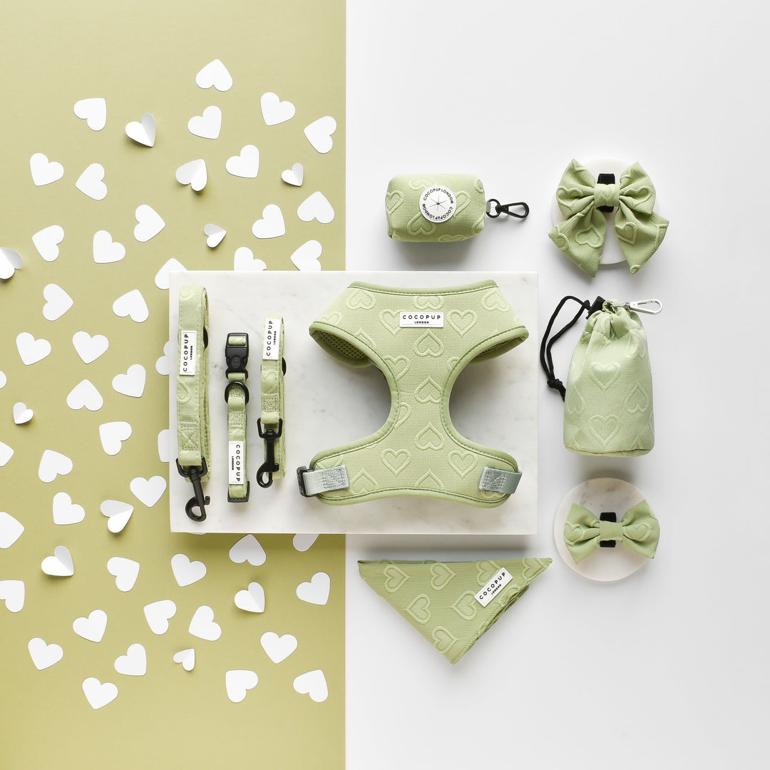 Luxe Collar - Sage Heart