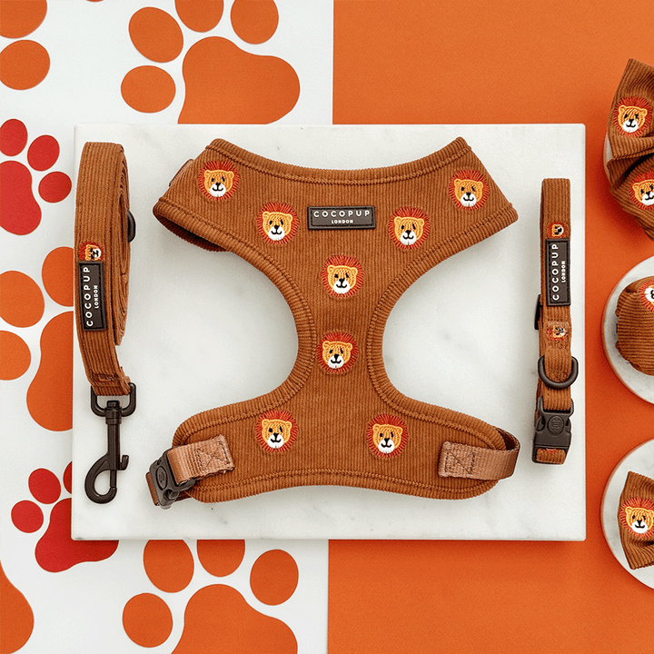 Leo the Lion Adjustable Neck Harness, Lead & Collar Bundle