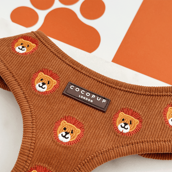 Leo the Lion Adjustable Neck Harness, Lead & Collar Bundle