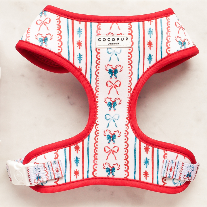 Christmas Mystery Adjustable Neck HARNESS