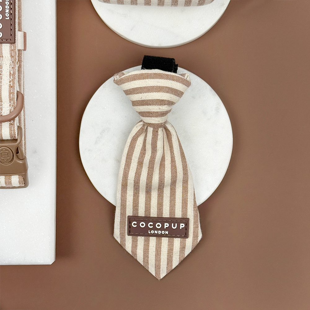 Brown and beige striped dog tie with 'Cocopup London' logo on a brown background.