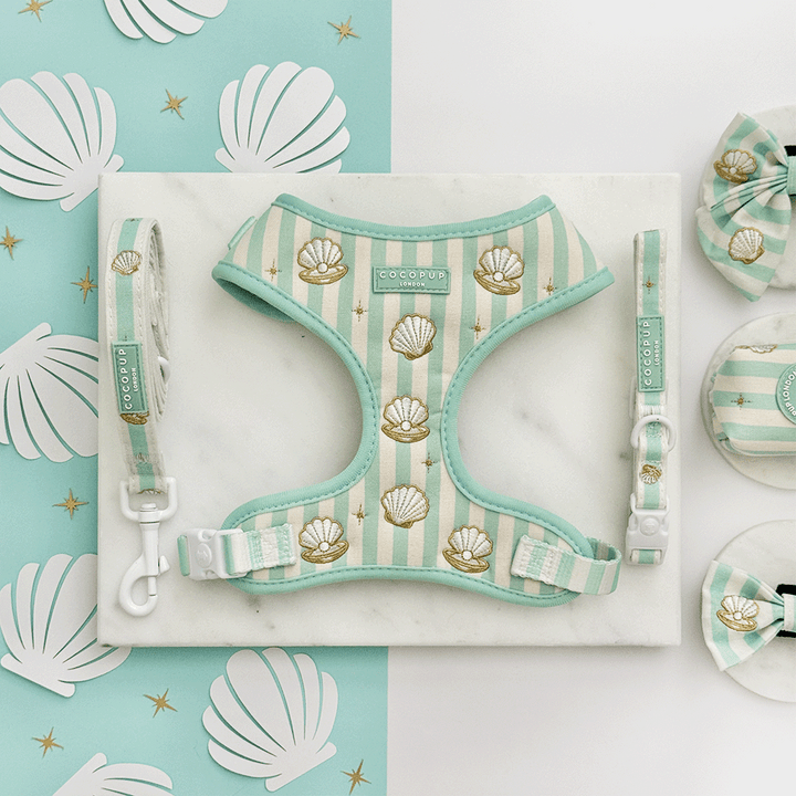 Mermaid Pearl Pup Adjustable Neck Harness, Lead & Collar Bundle