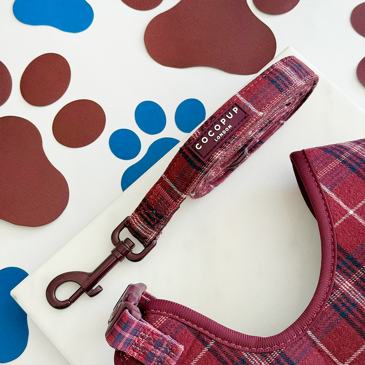 Mulberry Plaid Lead