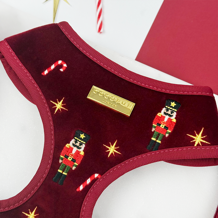 The Muttcracker Adjustable Neck Harness, Lead & Collar Bundle