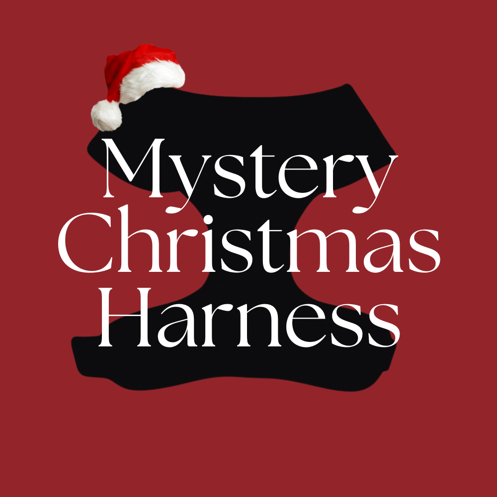 Christmas Mystery Adjustable Neck HARNESS