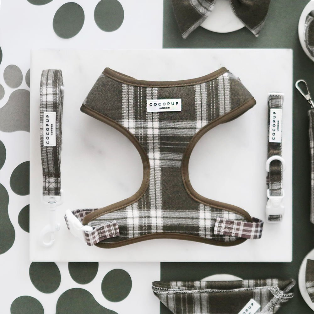 Olive Check Adjustable Neck Harness, Lead & Collar Bundle