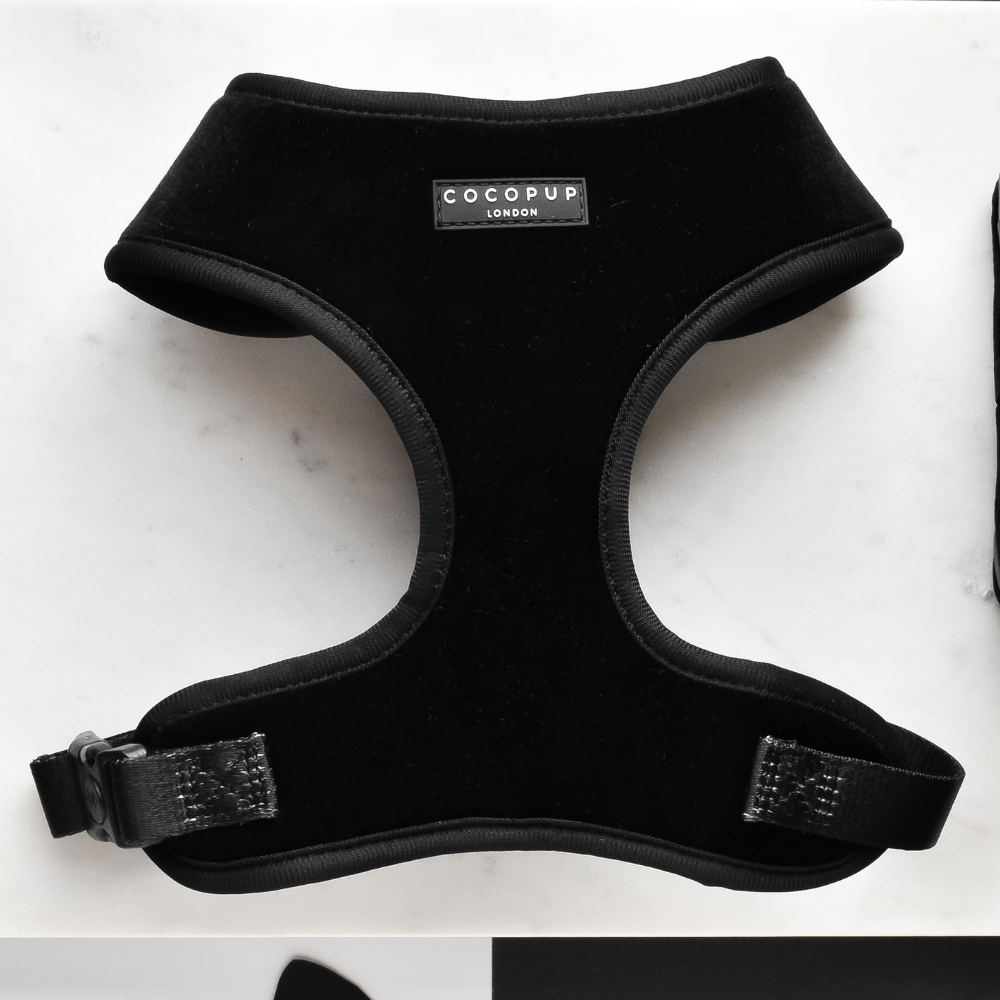 Luxe Velvet Adjustable Neck Harness - Noir