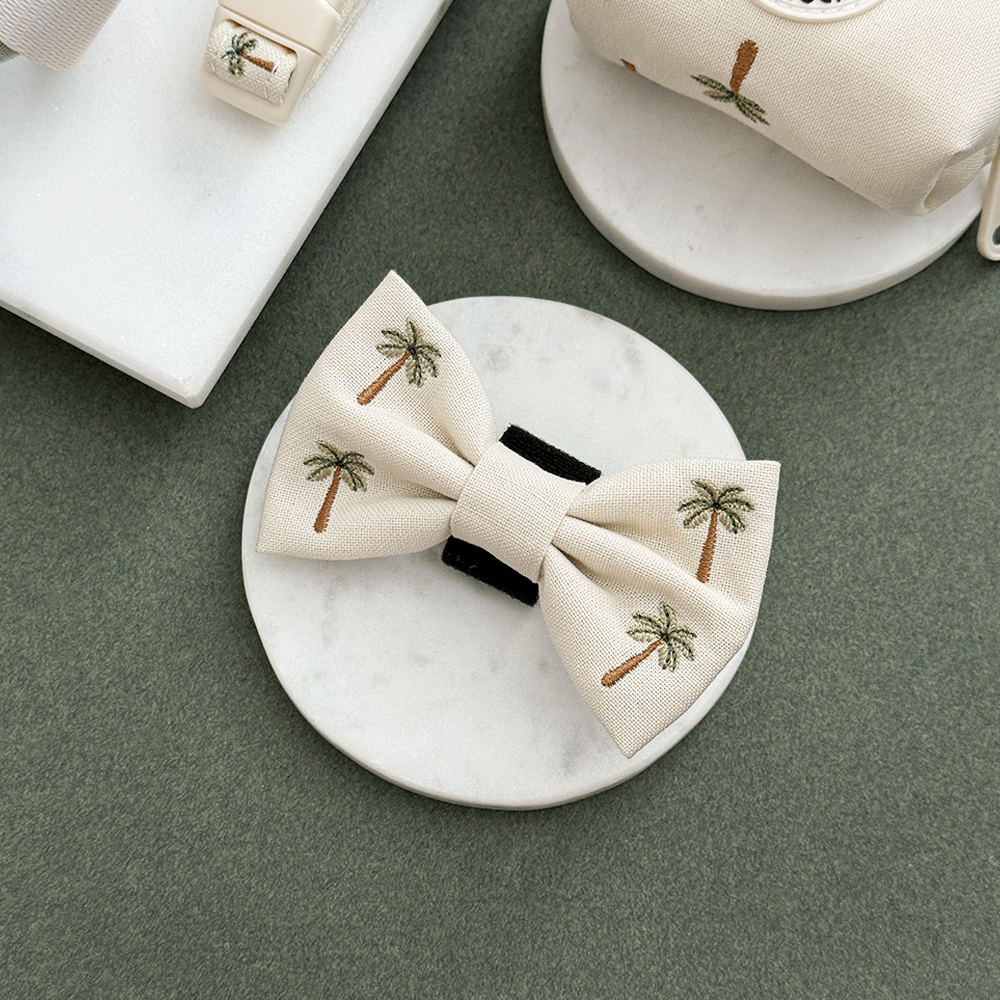 Palm Springs Bow Tie