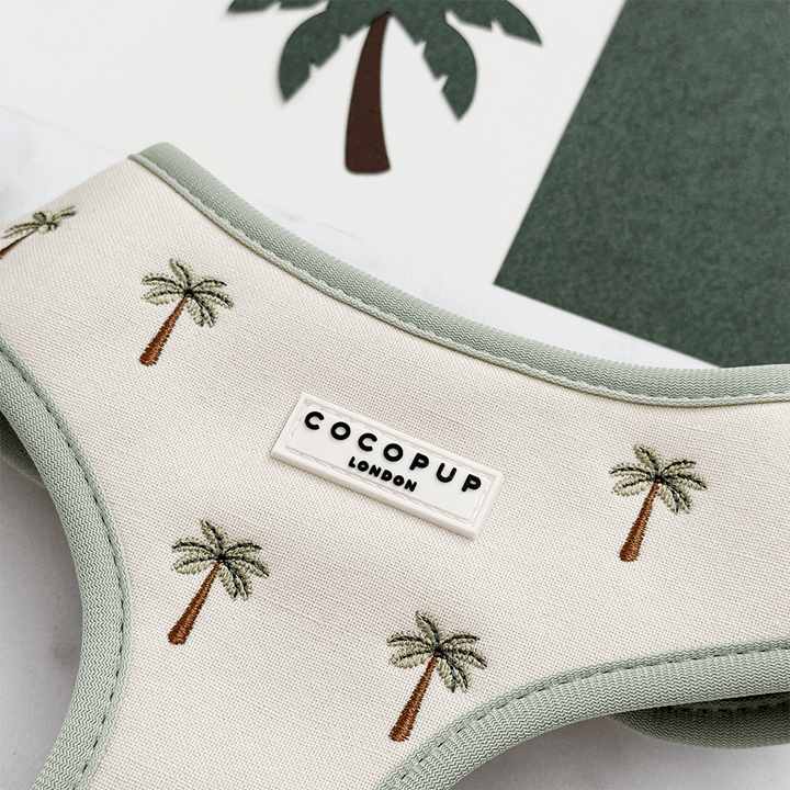 Palm Springs Adjustable Neck HARNESS