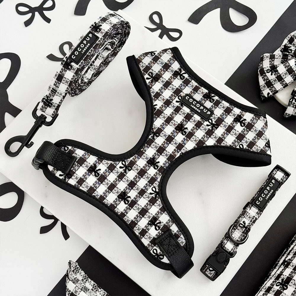 Pup in Paris Adjustable Neck Harness, Lead & Collar Bundle