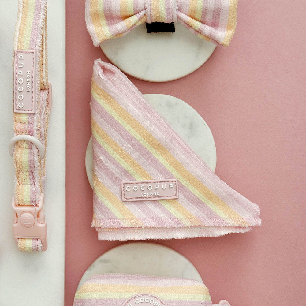 Pink, yellow and orange striped Dog Bananda with pink Cocopup logo badge. Designed to be tied around dogs neck. 