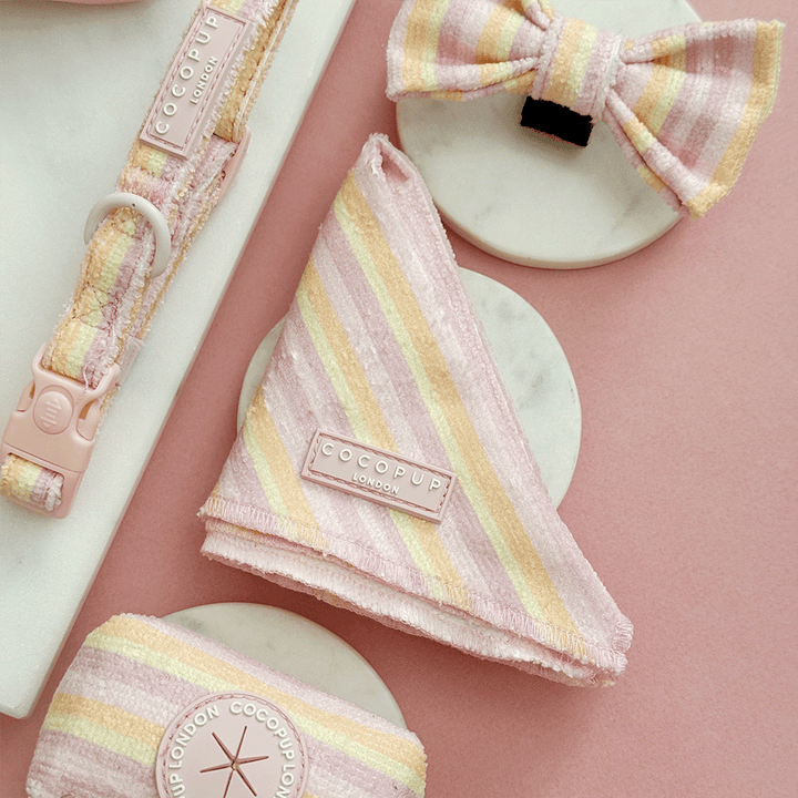 Pink, yellow and orange striped Dog Banadana with pink Cocopup logo badge. Designed to be tied around dogs neck. 