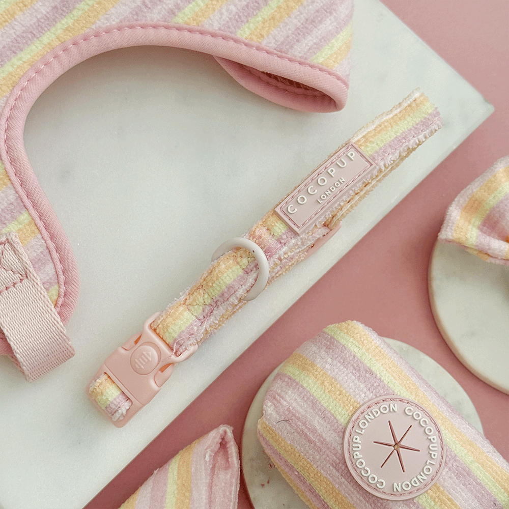 Pink, yellow and orange striped Dog Collar with pink Cocopup logo badge. Includes pink safety lock and d ring. 