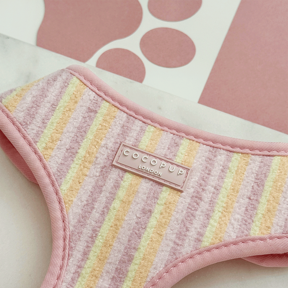 Pink, yellow and orange striped Dog Harness with pink Cocopup logo badge.