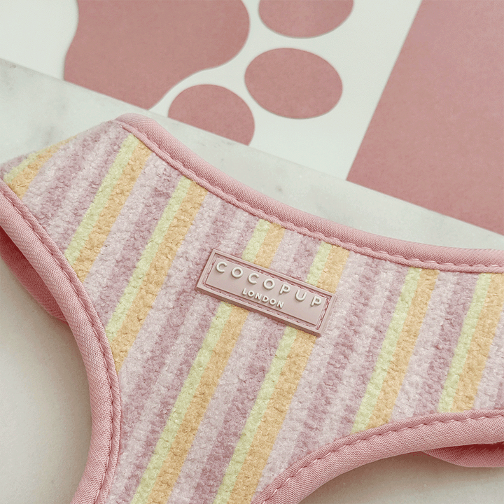 Pink, yellow and orange striped Dog Harness with pink Cocopup logo badge.