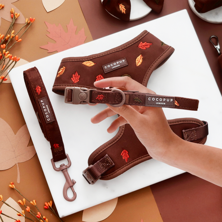 Pawtumn Leaves COLLAR