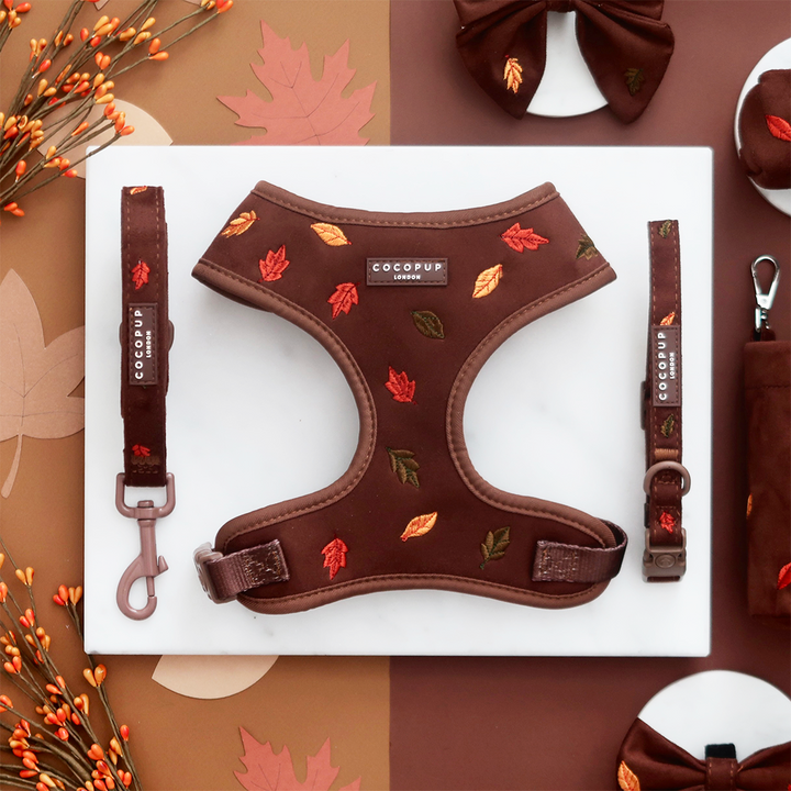 Pawtumn Leaves Adjustable Neck Harness, Lead & Collar Bundle