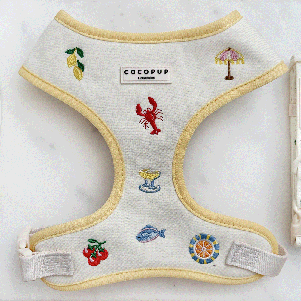 White linen fabric Dog Harness with summer embroidered embellishments and yellow trim.