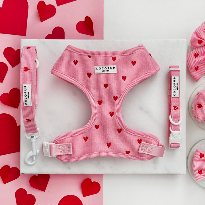 Pink Heartstrings Cord Adjustable Neck Harness, Lead & Collar Bundle