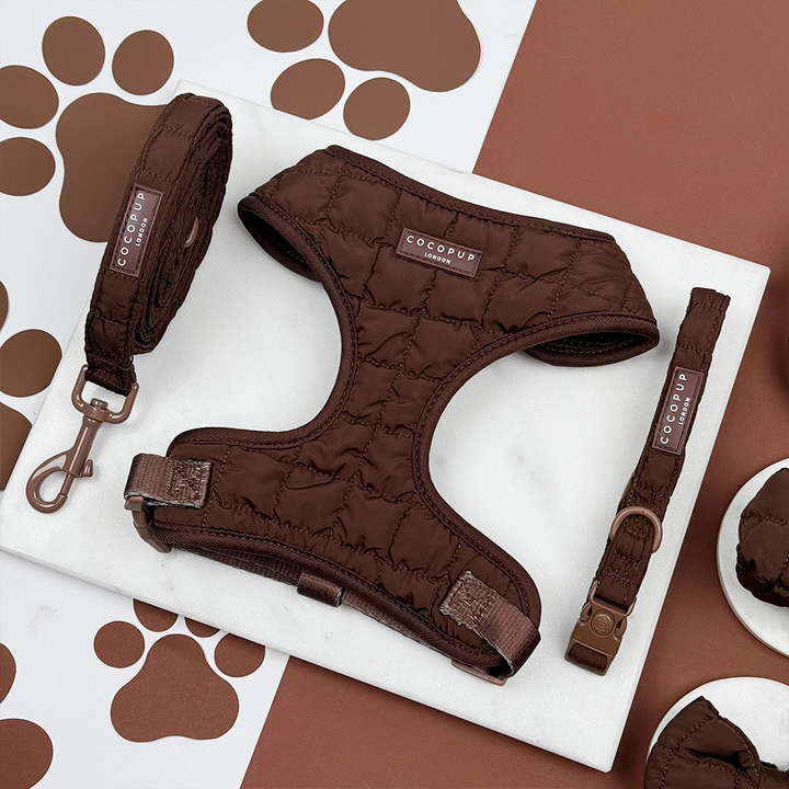 Espresso Quilted Adjustable Neck Harness, Lead & Collar Bundle