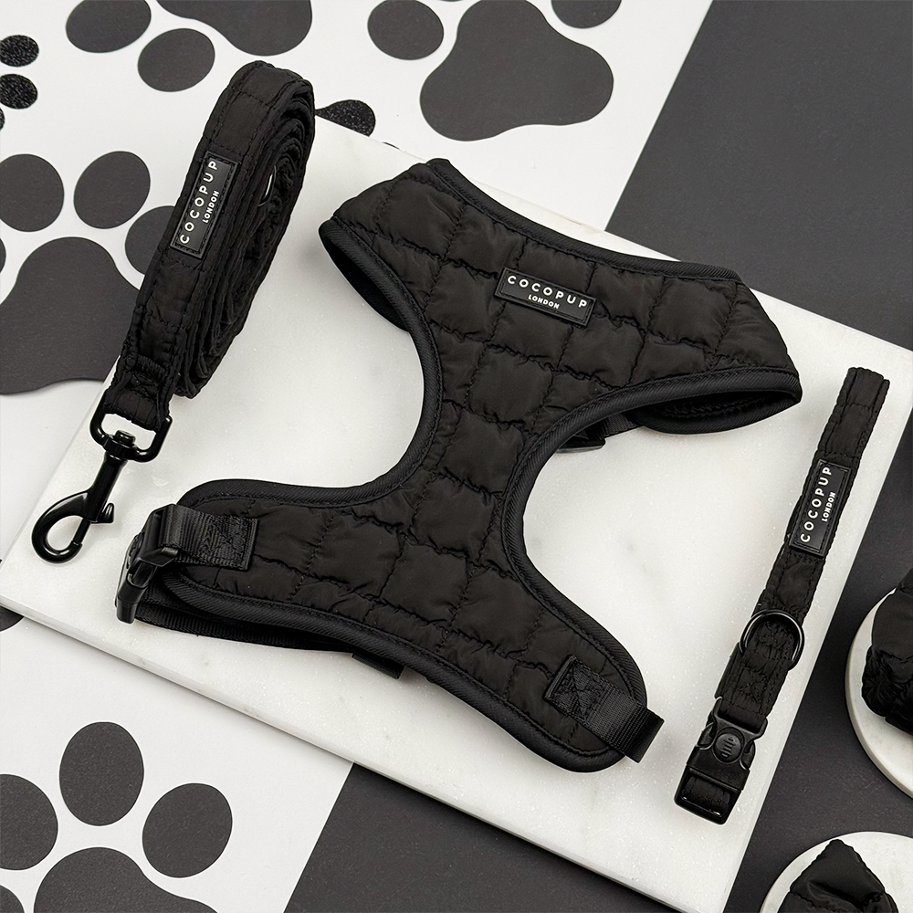 Onyx Quilted Adjustable Neck Harness, Lead & Collar Bundle