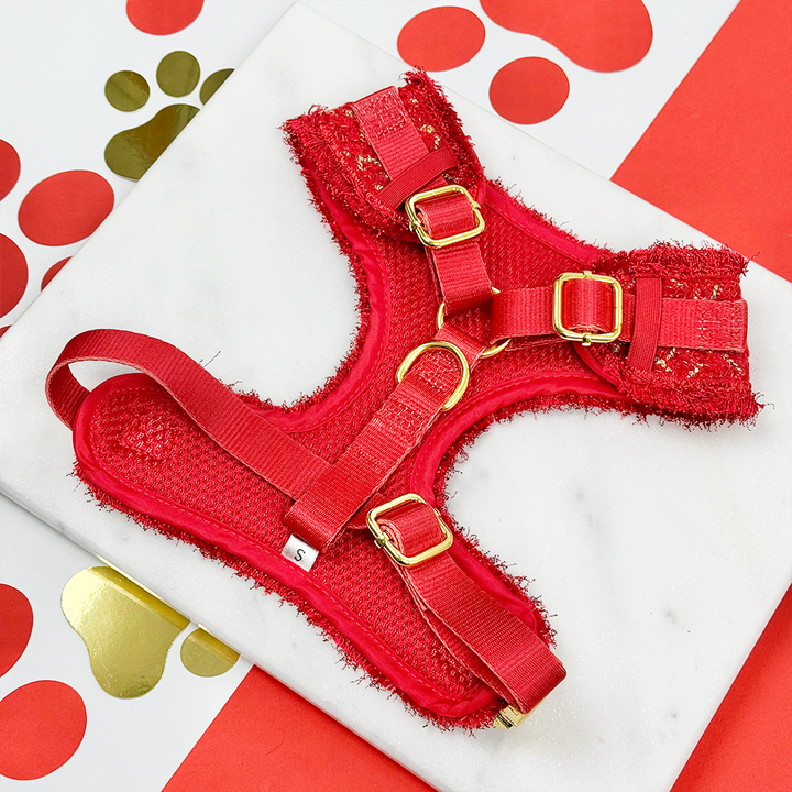 Red Textured Tweed Adjustable Neck HARNESS