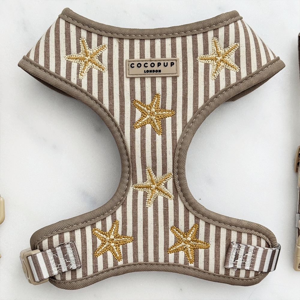 Sandy Starpaws Adjustable Neck HARNESS