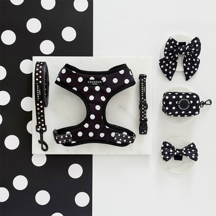 Satin Polka Dot COLLAR