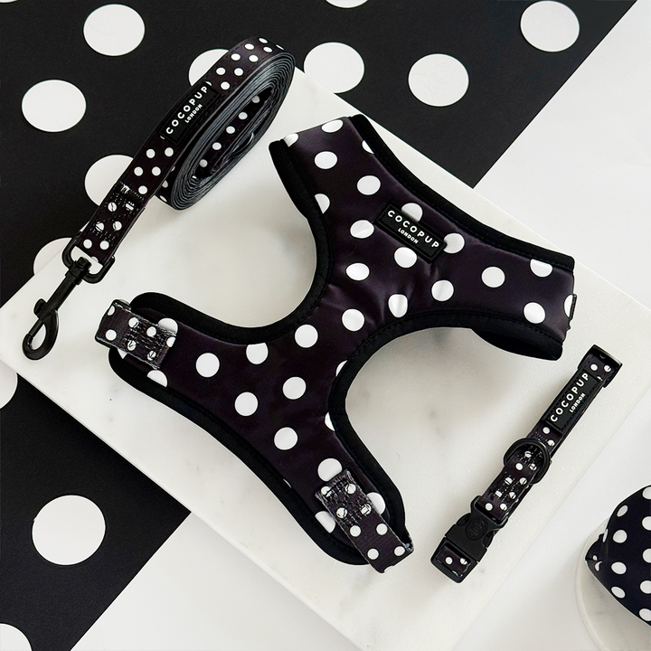 Satin Polka Dot Lead