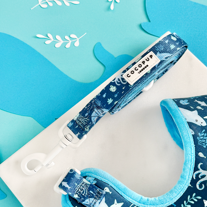 Sea Life Pawty Adjustable Neck Harness, Lead & Collar Bundle