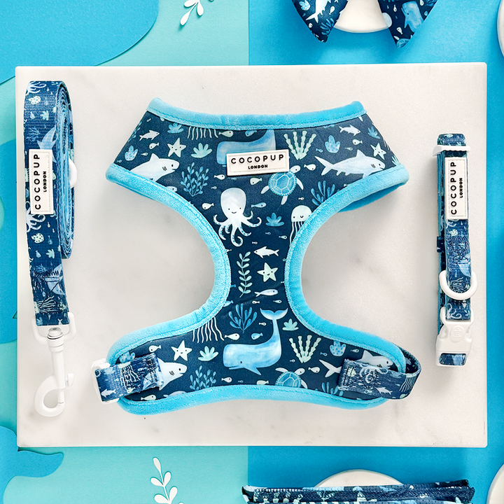 Sea Life Pawty Adjustable Neck Harness, Lead & Collar Bundle