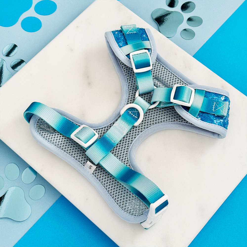 Seaside Shimmer Adjustable Neck HARNESS