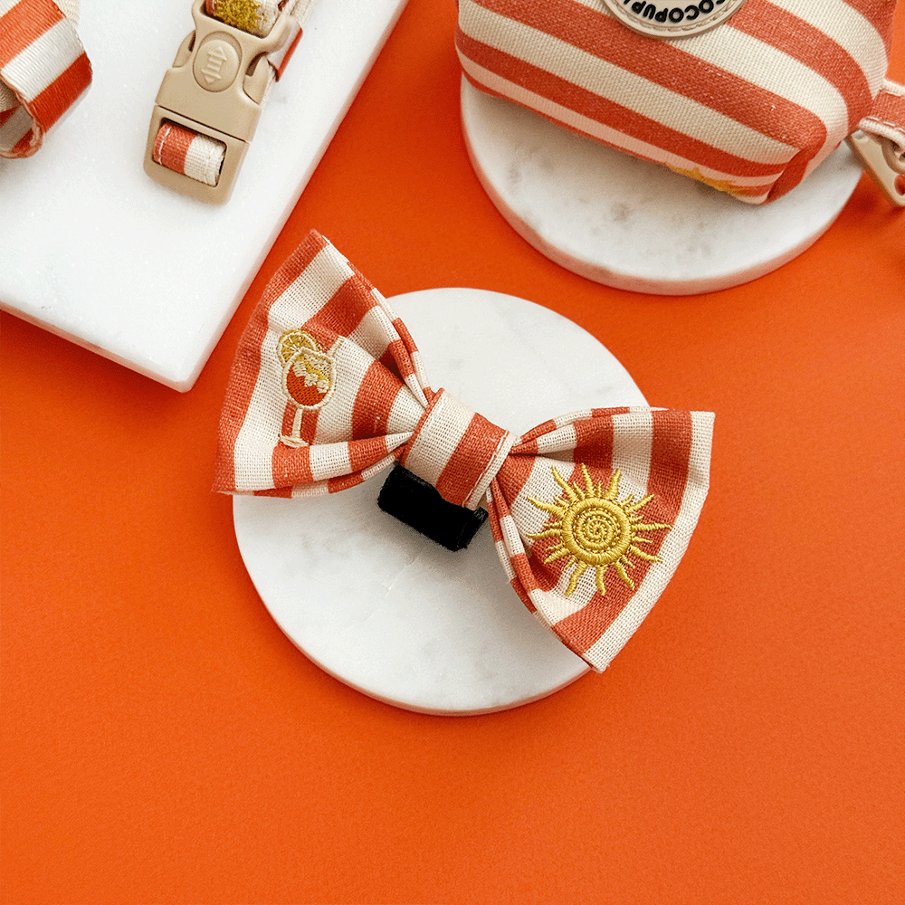 Sunshine & Spritz Bow Tie
