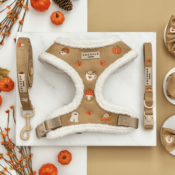 Brown dog harness with white sherpa trim and autumnal-themed embroidery of pumpkins, leaves, a coffee cup, and mushrooms, shown with matching lead and collar.