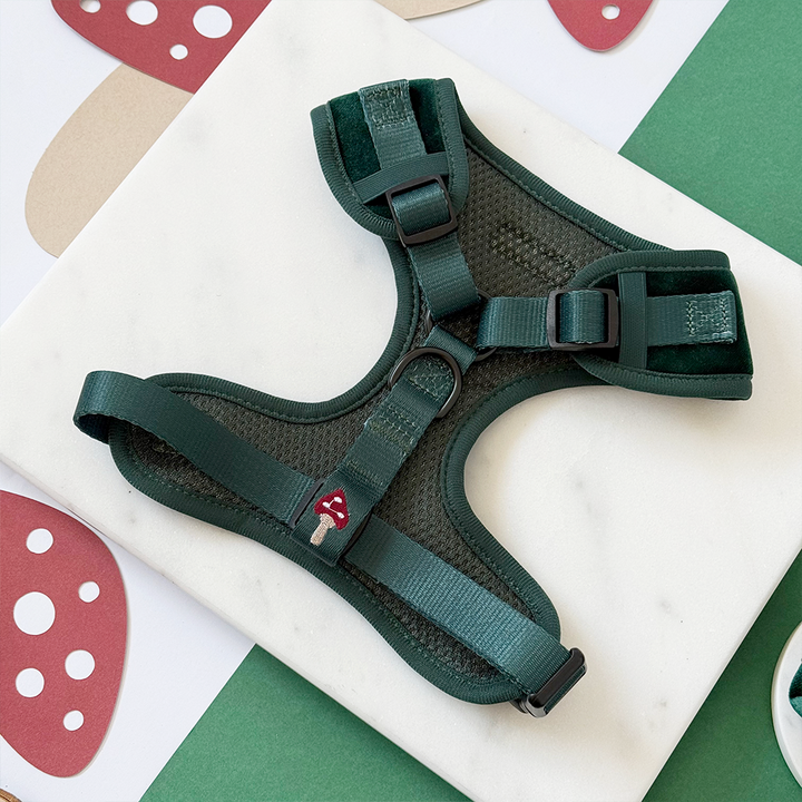 Toadstool Trails Adjustable Neck Harness, Lead & Collar Bundle