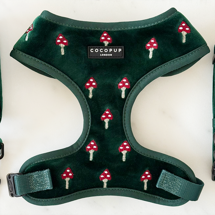 Toadstool Trails Adjustable Neck HARNESS