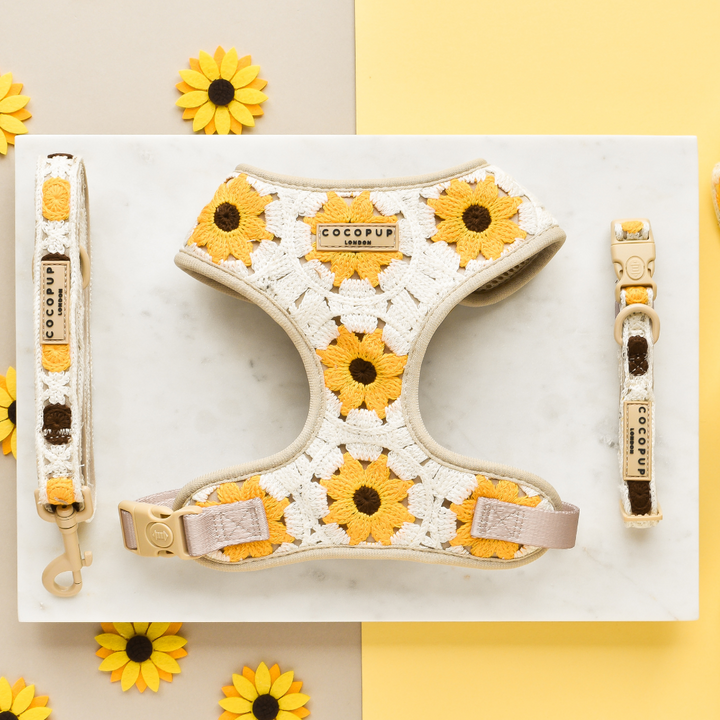 A **Sunflower Patch Adjustable Neck Harness, Lead & Collar Bundle** by **Cocopup London**, featuring a vibrant sunflower pattern in yellow and white, is displayed on a white marble surface. Surrounding the harness are the matching leash and collar, perfect for stylish dog walks. Additional small artificial sunflowers are placed around the items for decoration.