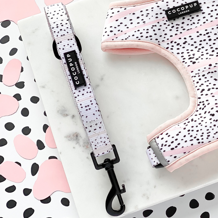 Pink Dalmatian Puppy Lead & Collar Set