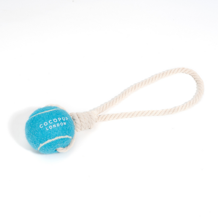 Tennis Ball Rope Toy - Bright Blue