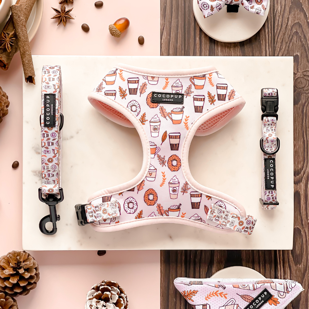 Flat lay image of a collection of pink dog accessories on a marble surface and wooden background. The Autumn Puppuccino Adjustable Neck Harness, Lead & Collar Bundle by Cocopup London includes two collars, an adjustable harness, and a bow tie, all adorned with an autumnal print featuring coffee cups, donuts, pumpkins, and fall leaves.