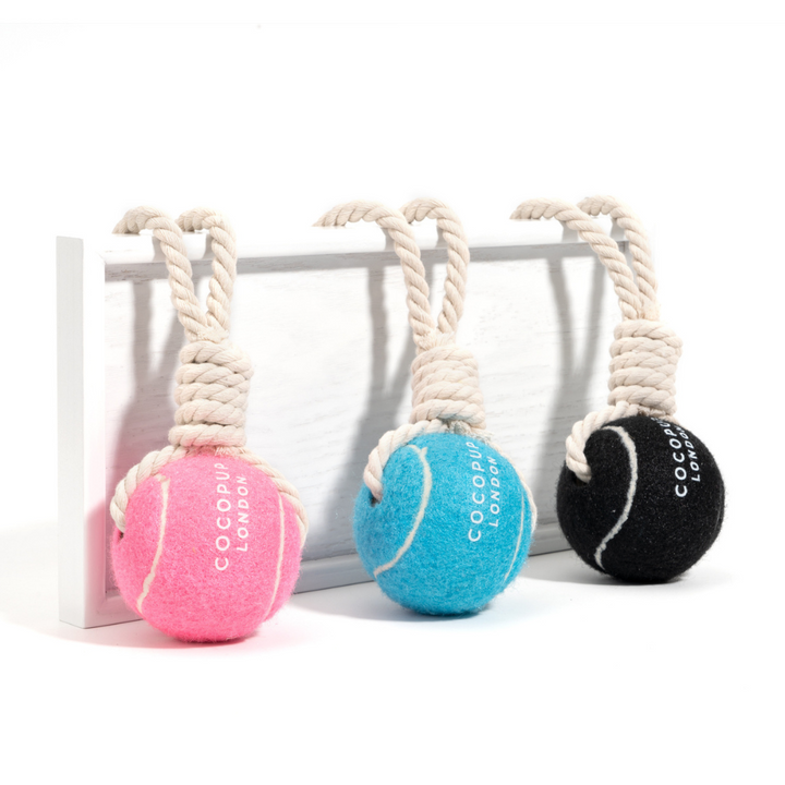 Tennis Ball Rope Toy - Bright Blue