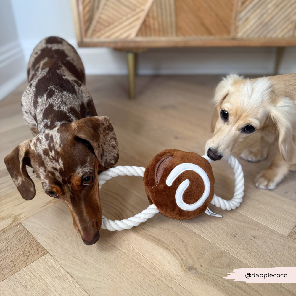 Cinnamon Bun Dog Toy