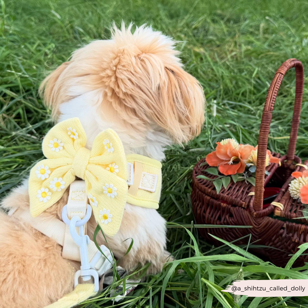 Buttercup Pup Sailor Bow Tie
