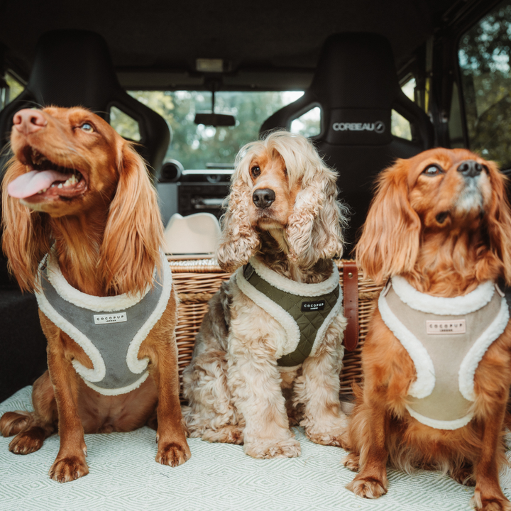 Grey Aviator Adjustable Neck Harness