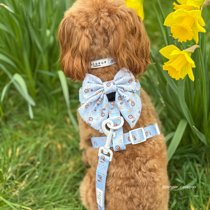 Barnyard Buddies Sailor Bow Tie