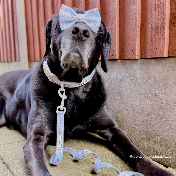 Barnyard Buddies Bow Tie