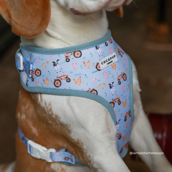 Barnyard Buddies Adjustable Neck HARNESS