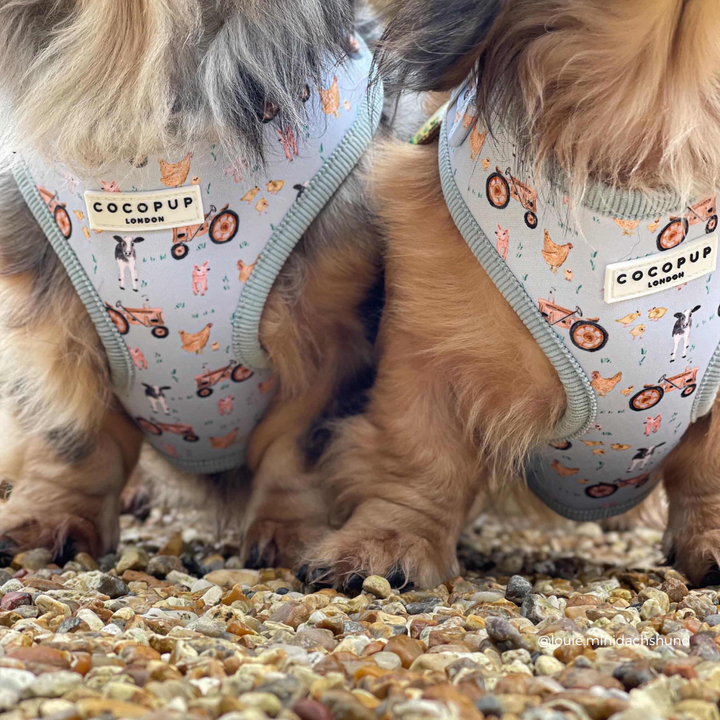 Barnyard Buddies Adjustable Neck HARNESS