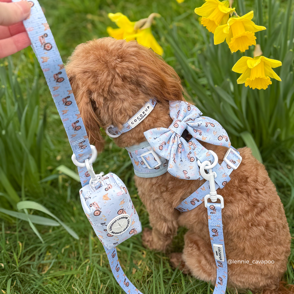 Barnyard Buddies Sailor Bow Tie