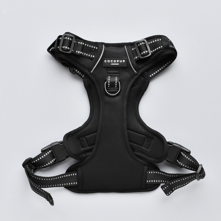 Explore Harness - NAKD Liquorice